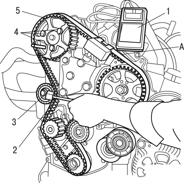 Замена ремня ГРМ Peugeot 206 своими руками. Видео